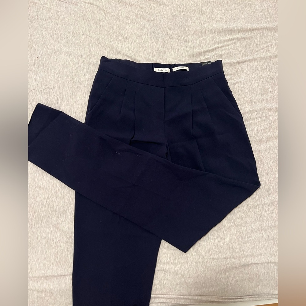 Aritzia / Babaton Cohen pants